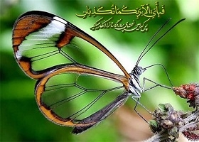 فلسفه و هدف تکرار برخی از کلمات، جمله‌ها و آیات در قرآن کریم چیست؟