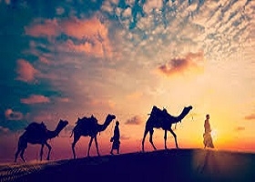 خلقت شتر در قرآن